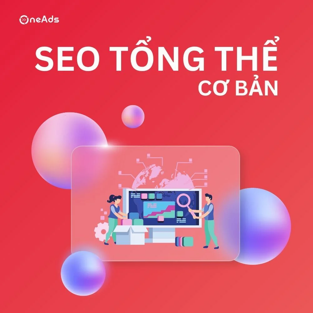 SEO WEBSITE