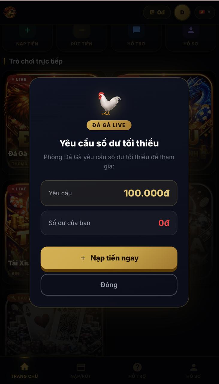 CASINO6886 11